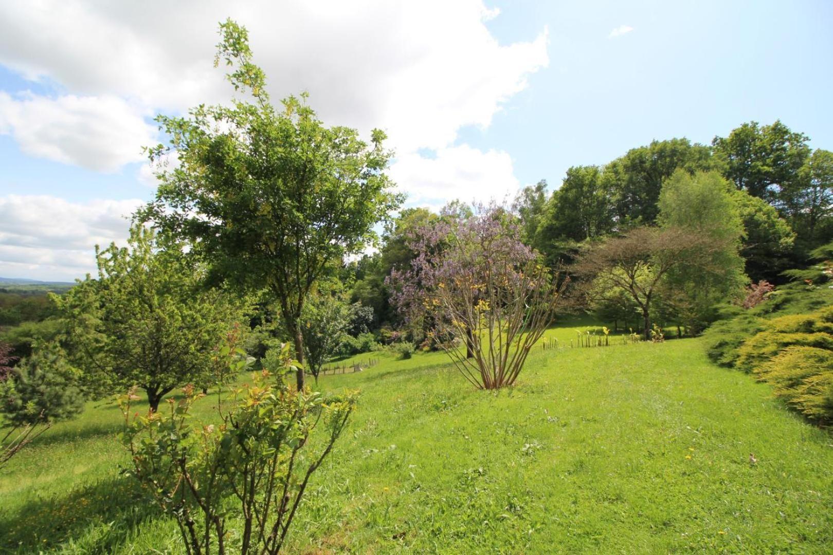 Les Deux Chenes Bed & Breakfast Saint-Denis-des-Murs Exterior photo